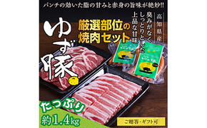 GRS006　【高知のブランド豚/ゆず豚】厳選部位の焼肉セット（約1.4kg）- 焼肉用 肩ロース500g バラ500g ソーセージ5本入り×2P BBQ やきにく 焼き肉 ソーセージ 豚肉 国産 詰め合わせ セット ギフト・熨斗対応可 贈答