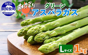 アスパラガス 北海道 グリーン 1kg セット Lサイズ 春 限定 旬 朝採り 新鮮 野菜 アスパラ ギフト gift 産地直送 産直 お取り寄せ 詰め合わせ 送料無料 フレッシュ 柔らかい たっぷり 