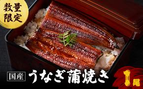 うなぎ 数量限定 国産 蒲焼き 1尾 老舗うなぎ専門店 徳右ェ門 鰻 ウナギ 魚介 魚介類 海鮮 福井県 福井