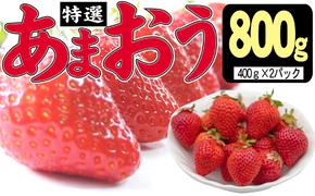 いちご 2024年12月より発送 特選あまおう 800g※配送不可：離島