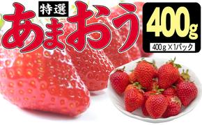 いちご 2024年12月より発送 特選あまおう 400g※配送不可：離島