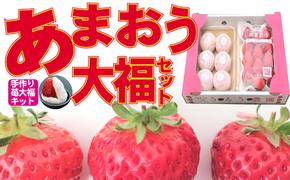 いちご 2024年12月より発送 うるう農園のあまおう大福キット（あまおう1パック＋大福6個セット）※配送不可：離島