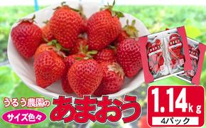 いちご 2024年12月より発送 うるう農園のあまおう サイズ色々4パック 約1.14kg※配送不可：離島