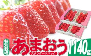 いちご 2024年12月より発送 うるう農園のあまおう スタンダード4パック 約1.14kg※配送不可：離島