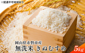 令和6年度産 無洗米 きぬむすめ 5kg 白米 お米 岡山 赤磐市産