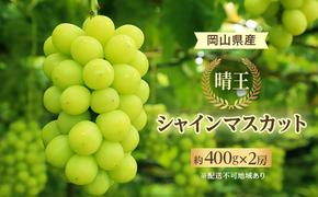 ぶどう 2024年 先行予約 シャイン マスカット 晴王 約400g×2房 8月下旬～10月下旬発送 ブドウ 葡萄  岡山県産 国産 フルーツ 果物 ギフト