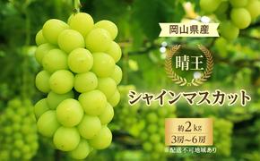 ぶどう 2024年 先行予約 シャイン マスカット 晴王 3房～6房 約2kg 8月下旬～10月下旬発送 ブドウ 葡萄  岡山県産 国産 フルーツ 果物 ギフト