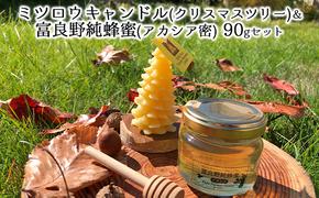 ミツロウキャンドル【クリスマスツリー】＆富良野純蜂蜜（アカシア蜜）90gセット 蜂蜜 はちみつ ハニー 国産 北海道 富良野市 ふらの 道産