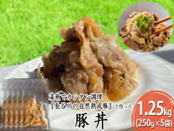 豚丼 1.25kg (250g×5袋) 長谷川の自然熟成豚 湯煎 湯せん おかず 惣菜 レトルト レトルト食品 簡単調理 豚 ぶた ブタ 豚肉 肉 お肉 キャンプ アウトドア キャンプ飯 青森 青森県