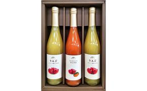 信州浅間ファーム・100％ジュース 3本セット（各500ml）