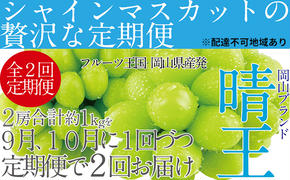 ぶどう 2025年 先行予約 9月・10月発送 シャイン マスカット 晴王 2房（合計約1kg） ブドウ 葡萄  岡山県産 国産 フルーツ 果物 ギフト