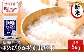 【先行予約2024年産米・10月下旬より順次出荷】北海道赤平産 ゆめぴりか 5kg 特別栽培米 精米 米 北海道