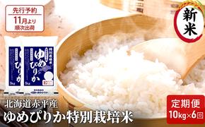 【先行予約2024年産米・11月より順次出荷】北海道赤平産 ゆめぴりか 10kg (5kg×2袋) 特別栽培米 【6回お届け】 米 北海道 定期便