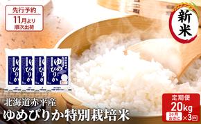 【先行予約2024年産米・11月より順次出荷】北海道赤平産 ゆめぴりか 20kg (5kg×4袋) 特別栽培米 【1ヵ月おきに3回お届け】 米 北海道 定期便