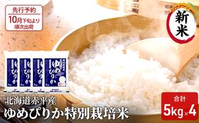 【先行予約2024年産米・10月下旬より順次出荷】北海道赤平産 ゆめぴりか 20kg (5kg×4袋) 特別栽培米 米 北海道