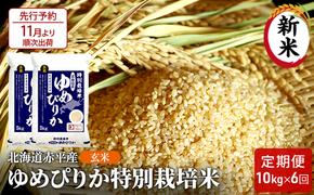 【先行予約2024年産米・11月より順次出荷】玄米 北海道赤平産 ゆめぴりか 10kg (5kg×2袋) 特別栽培米 【6回お届け】 米 北海道 定期便