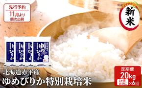 【先行予約2024年産米・11月より順次出荷】北海道赤平産 ゆめぴりか 20kg (5kg×4袋) 特別栽培米 【1ヵ月おきに6回お届け】 米 北海道 定期便