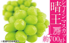 ぶどう 2025年 先行予約 シャイン マスカット 晴王 1房 約700g ブドウ 葡萄  岡山県産 国産 フルーツ 果物 ギフト