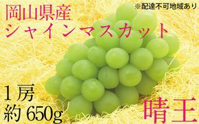 ぶどう 2025年 先行予約 シャイン マスカット 晴王 1房 約650g  ブドウ 葡萄  岡山県産 国産 フルーツ 果物 ギフト デザート 食後 酸味が少ない 産地直送 