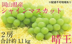 ぶどう 2025年 先行予約 シャイン マスカット 晴王 2房（合計約1.1kg） ブドウ 葡萄  岡山県産 国産 フルーツ 果物 ギフト デザート 食後 酸味が少ない 産地直送 