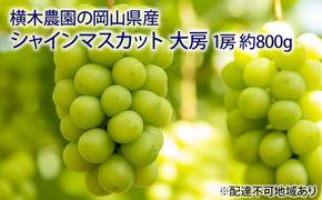 ぶどう 2025年 先行予約 シャイン マスカット 大房1房 約800g 贈答用 ブドウ 葡萄  岡山県産 国産 フルーツ 果物 ギフト 横木農園 ジューシー 種無し 贈り物 岡山県産ぶどう 