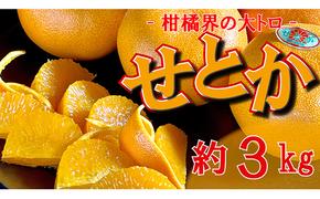 柑橘界の大トロ！せとか　約3kg【2月以降発送開始】