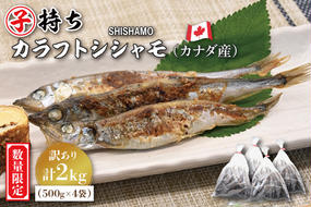 【数量限定！】 子持ち カラフトシシャモ ２kg (500g×4袋) 訳アリ シシャモ ししゃも カラフトししゃも 大洗 規格外 訳あり わけあり 傷