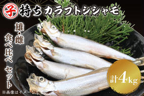 ししゃも雄雌食べ比べ ４ｋｇ セット 訳アリ シシャモ ししゃも カラフトししゃも 大洗 規格外 訳あり わけあり 傷