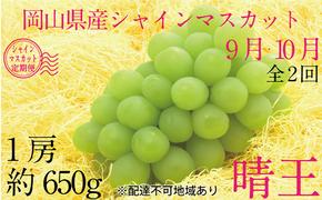 ぶどう 2025年 先行予約 9月・10月発送 シャイン マスカット 晴王 1房 約650g ブドウ 葡萄  岡山県産 国産 フルーツ 果物 ギフト デザート 食後 酸味が少ない 産地直送 