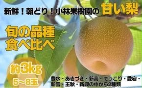【先行予約】小林果樹園の甘い梨 食べ比べ5～8玉  約3kg