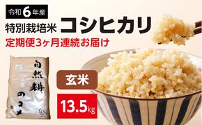 【定期便】3ヶ月連続お届け 令和六年産特別栽培米コシヒカリ4.5kg 玄米 