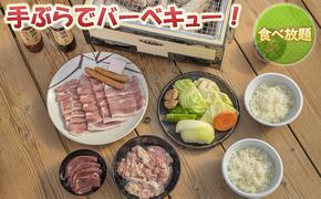 バーベキュー セット もちぶたを堪能できる 手ぶらバーベキュー 2名様分 食べ放題 食事券 体験チケット チケット もちぶた 和豚 もち豚 豚肉 ポーク お肉 肉 豚 精肉 焼き肉 焼肉 アウトドア キャンプ スペシャルキャンペーン 