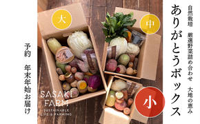 旬の野菜詰め合わせ ～ありがとうBOX2024・小～ 12月1日～1月31日頃お届け 北海道 野菜 やさい 詰め合わせ セット 北海道産 常備菜 加工品 自然栽培 佐々木ファーム 産地直送 洞爺湖町