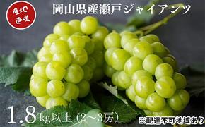 厳選 瀬戸ジャイアンツ 2～3房 合計1.8kg以上 産地直送 朝採れ ぶどう 葡萄 Kawahara Green Farm 岡山県産 2025年