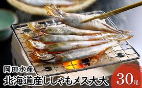 北海道産ししゃもメス大大30尾 北海道 稀少 魚シシャモ メス おつまみ