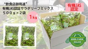 FV004_【飲食店御用達】有機JAS認証サラダリーフMix(500g×２袋　合計１ｋｇ）産地直送 新鮮野菜 冷蔵発送