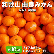 和歌山由良みかん　約10kg (2S～2L)　サイズおまかせ 　いずれか　【訳あり・家庭用】
※離島への配送不可
※2024年11月中旬～2025年1月上旬頃に順次発送予定