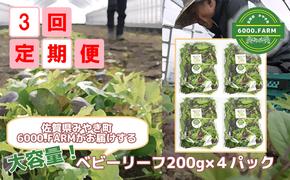 FV006_【3回定期便】大容量ベビーリーフ200ｇ×４セット 有機JAS認証取得　新鮮野菜　産地直送