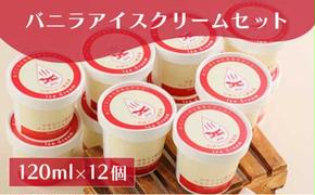 バニラアイスクリームセット