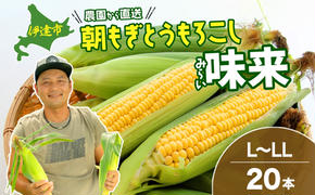 先行予約 【 2025年 発送 】北海道産 とうもろこし 味来 L～LLサイズ 20本入り トウモロコシ みらい ミライ とうきび スイート イエロー コーン 旬 新鮮 朝もぎ 農作物 甘い お取り寄せ 産地直送 送料無料