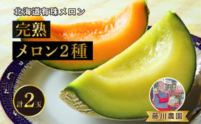 北海道産 有珠メロン 2玉 セット 赤肉 青肉 Lサイズ 1.6kg以上 各1玉 食べ比べ ツル付き 果物 めろん フルーツ くだもの 完熟 旬 ご褒美 ギフト お祝い 産地直送 お取り寄せ 北海道 藤川農園 送料無料 伊達