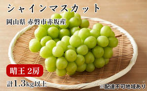 ぶどう 2025年 先行予約 シャイン マスカット 晴王 2房 合計1.3kg以上 2025年9月上旬～9月下旬発送分 ブドウ 葡萄 岡山県 赤磐市産 国産 フルーツ 果物 ギフト 赤坂青空市