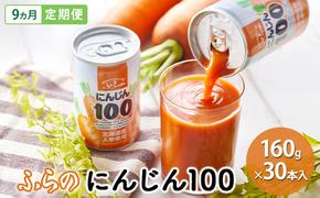 【 9ヵ月 定期便 】ふらの にんじん100 160g×30本入　野菜  ジュース  (ジュース 野菜ジュース 飲み物 缶 北海道 送料無料 道産 富良野市 ふらの)