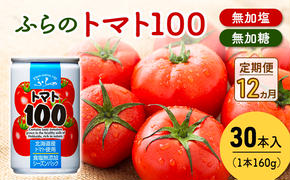 【 12ヵ月 定期便 】ふらの トマト100 160g×30本入　野菜  ジュース  (ジュース 野菜ジュース 飲み物 缶 北海道 送料無料 道産 富良野市 ふらの)