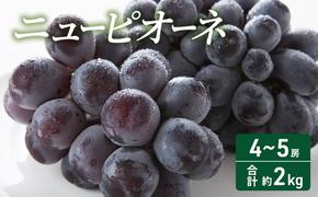 2025年 先行予約  ニューピオーネ 4～5房 合計約2kg 常温配送 ぶどう 葡萄 フルーツ 果物 岡山 