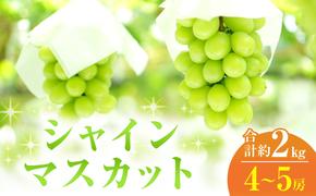 2025年 先行予約 シャインマスカット 4～5房 合計約2kg 常温配送 ぶどう 葡萄 フルーツ 果物 岡山 