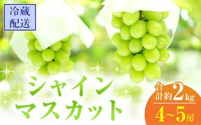 2025年 先行予約 シャインマスカット 4～5房 合計約2kg 冷蔵配送 ぶどう 葡萄 フルーツ 果物 岡山 