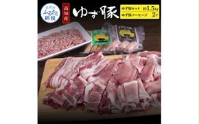 NIN009　なはりゆず豚セット1.5kg＋ゆず豚ソーセージ2P - バラ ロース モモ ひき肉 ソーセージ フランクフルト 豚肉 国産 詰め合わせ 冷凍 料理 おうちごはん 個包装 21000円 高知県産