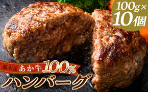 FKK19-219_あか牛100％ハンバーグ（100g×10個） 熊本県 嘉島町