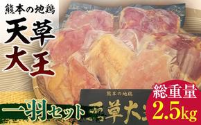 FKK19-201_天草大王 一羽セット（総重量2.5キロ） 熊本県 嘉島町